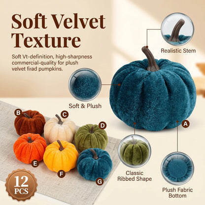 Velvet Pumpkin Set — 12 Autumn Accents