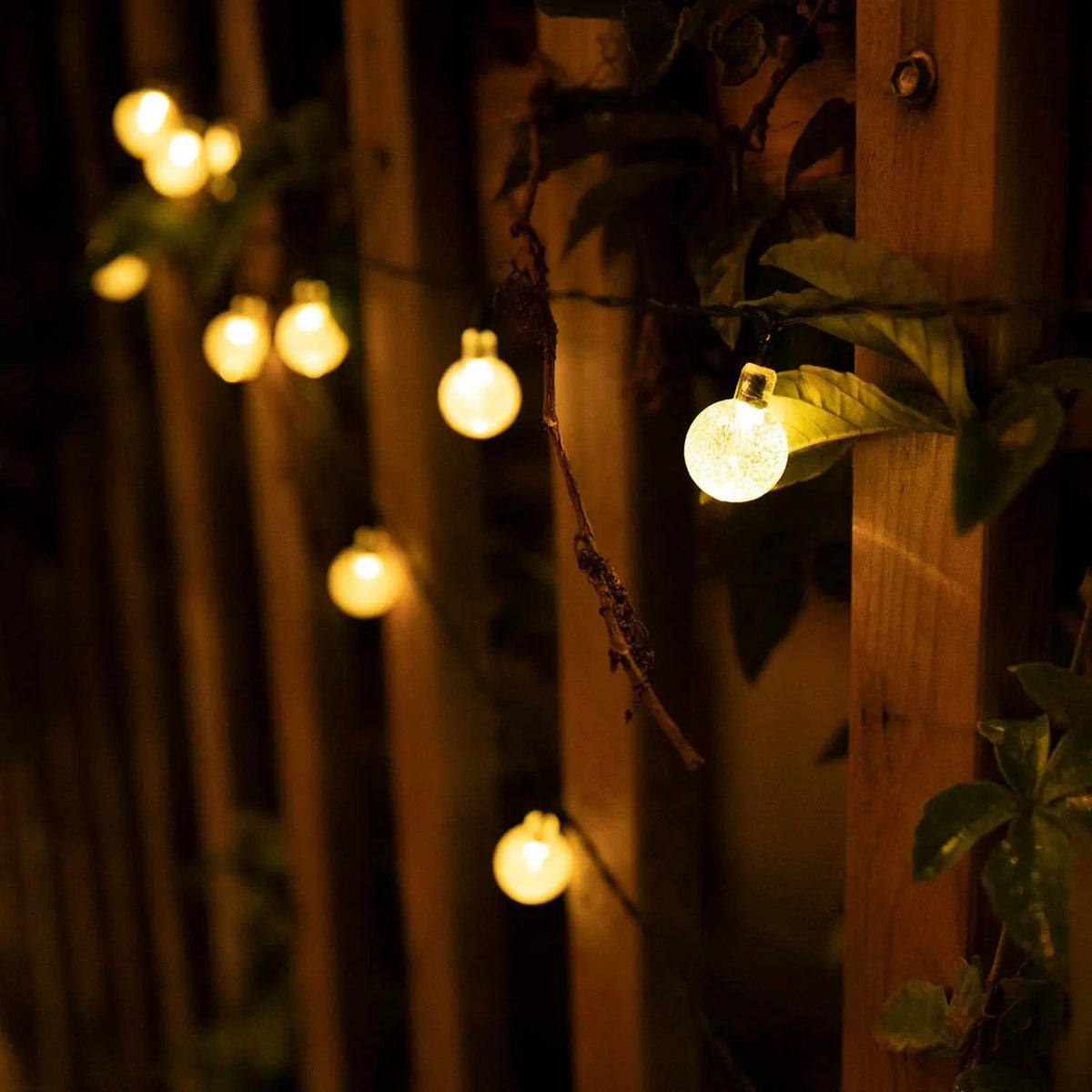 Aura Solar Crystal Globe Lights — Backyard & Trees