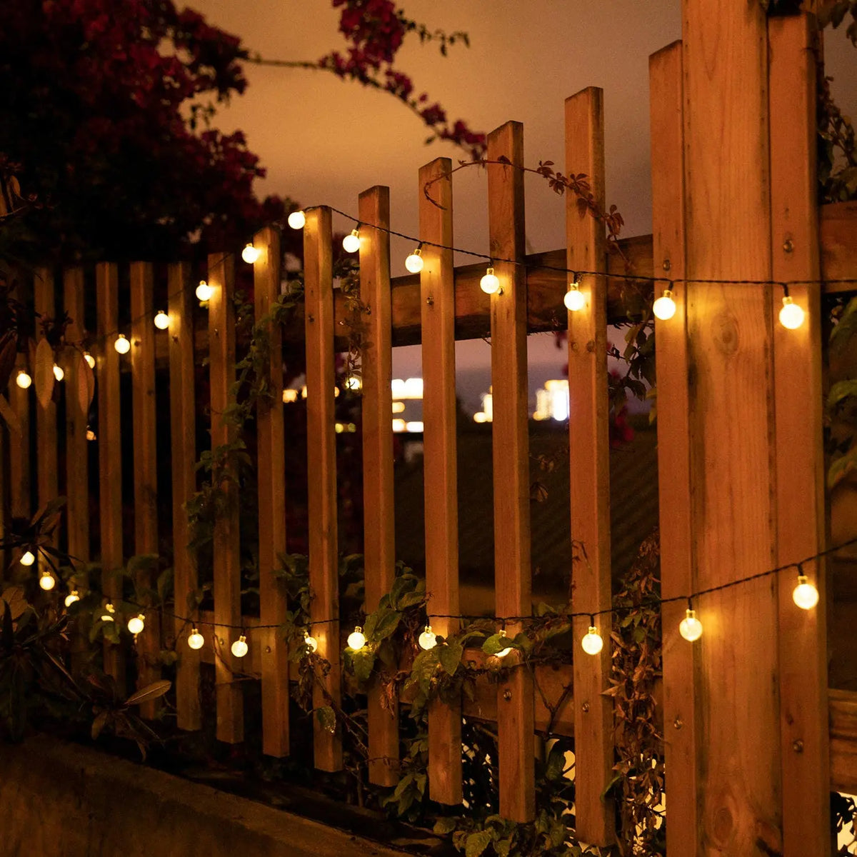 Aura Solar Crystal Globe Lights — Backyard & Trees