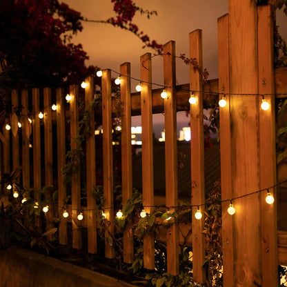Aura Solar Crystal Globe Lights — Backyard & Trees